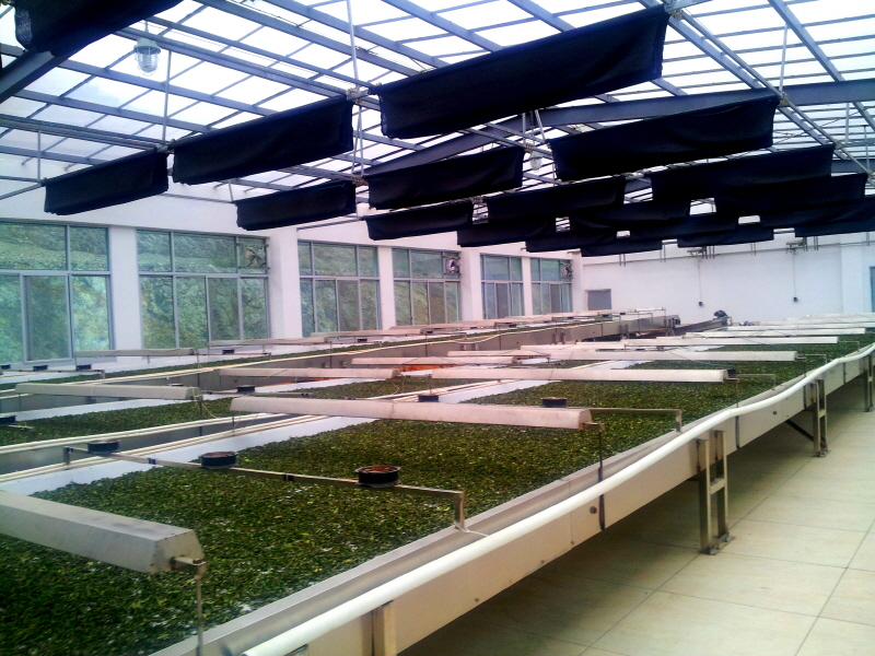 차제다 하는 기계의 모습