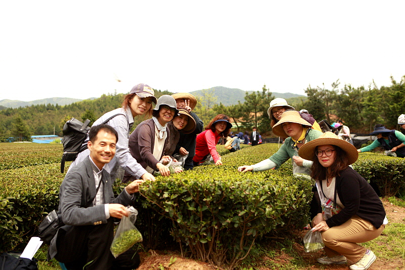 채다 과정 중 학생들 모습