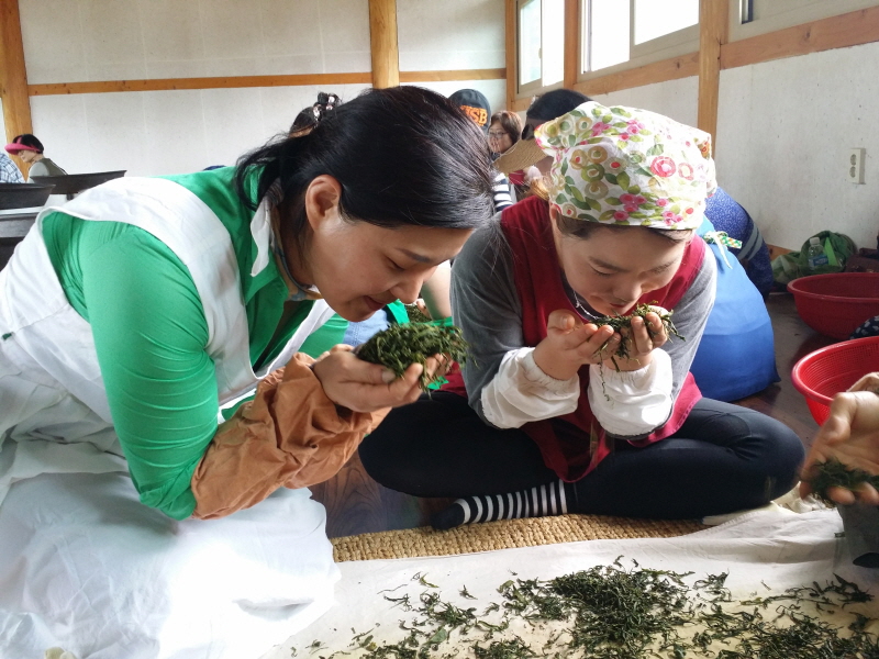 차를 덖는 학생들 모습