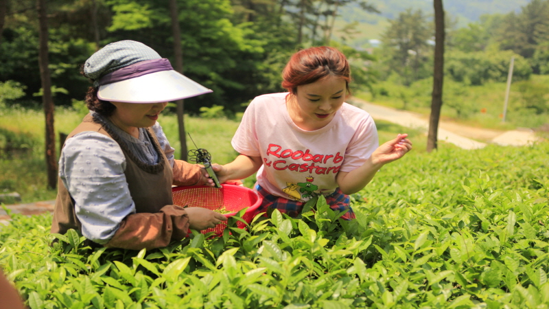 리포터가 인터뷰하는 모습