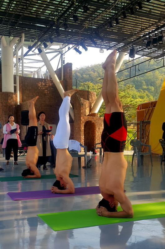 요가 대회 참가한 학생들 모습