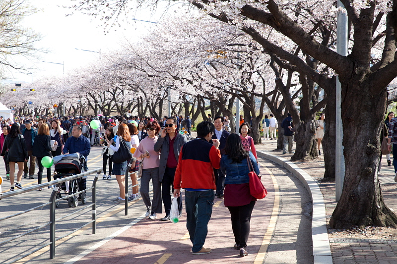 원디대 부스 앞에서 학교 리플렛과 풍선을 들고 있는 시민들