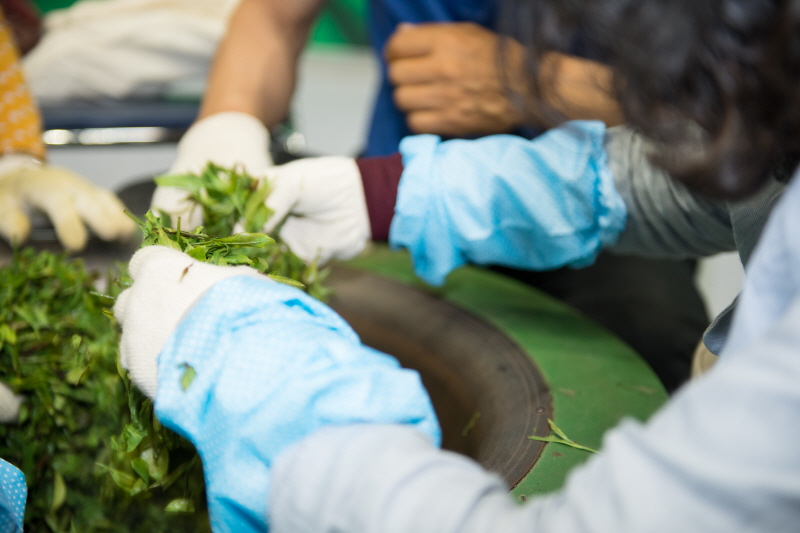 시민들 차만들기 체험하는 모습