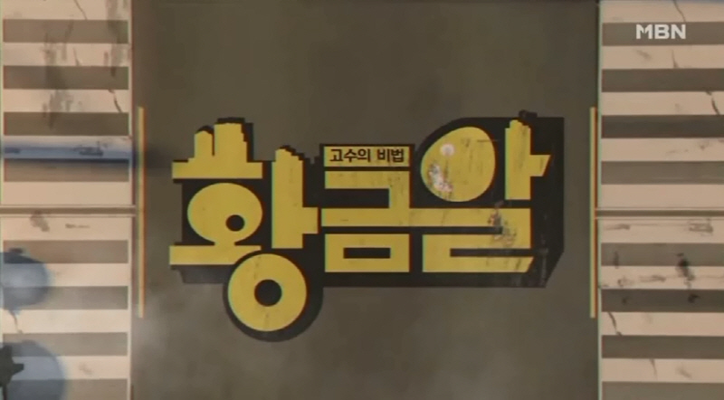 MBN황금알프로그램