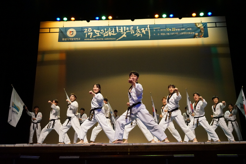 태권도 시범단 모습