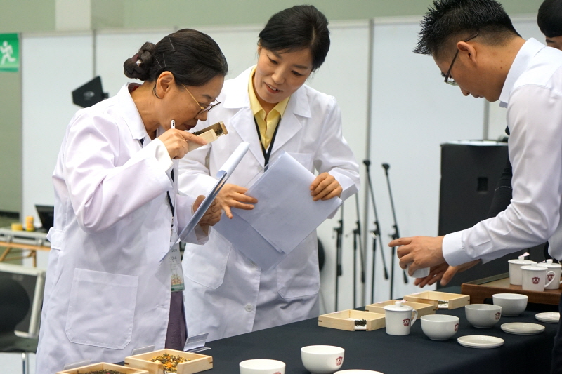 차 품평하는 손연숙 교수