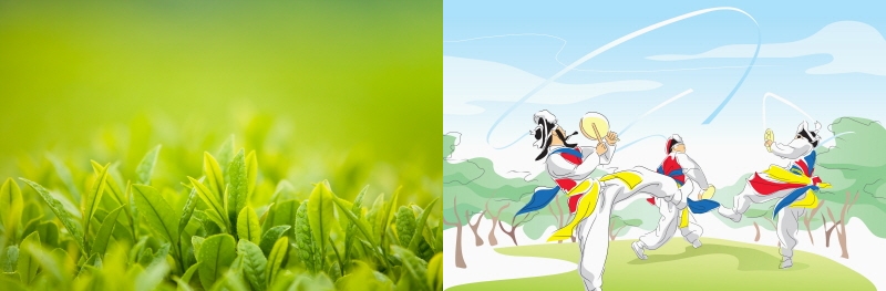 자연사진과 사물놀이사진