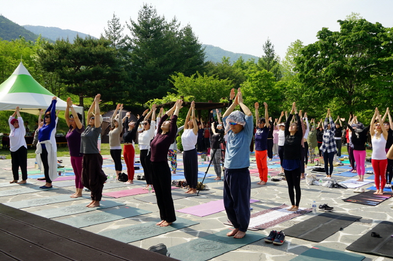 요가 동작 따라하는 시민들